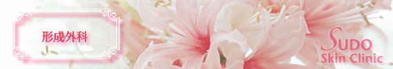コラム・豆知識～形成外科 編